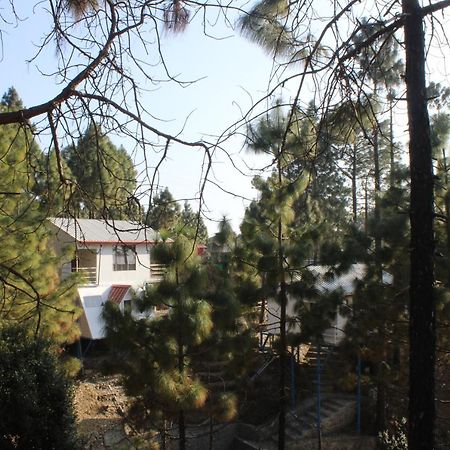 Ghughuti Resort Lansdowne Bagian luar foto